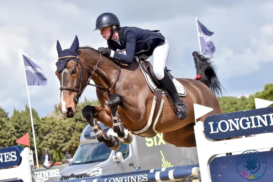 Show Jumping Competition